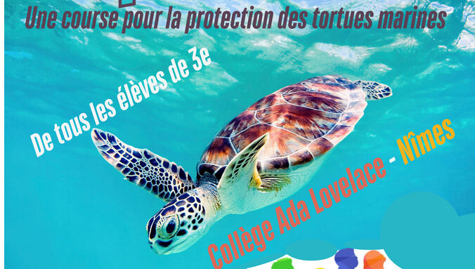 TURTLE SPEED RACE affiche.jpg