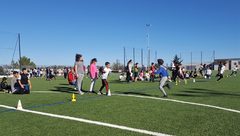 Galerie photo Les Olympiades en photos